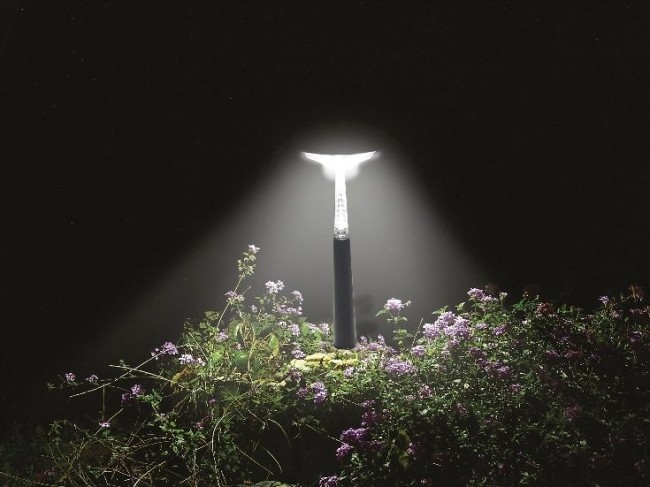 Intex Solar LED Landscape Light